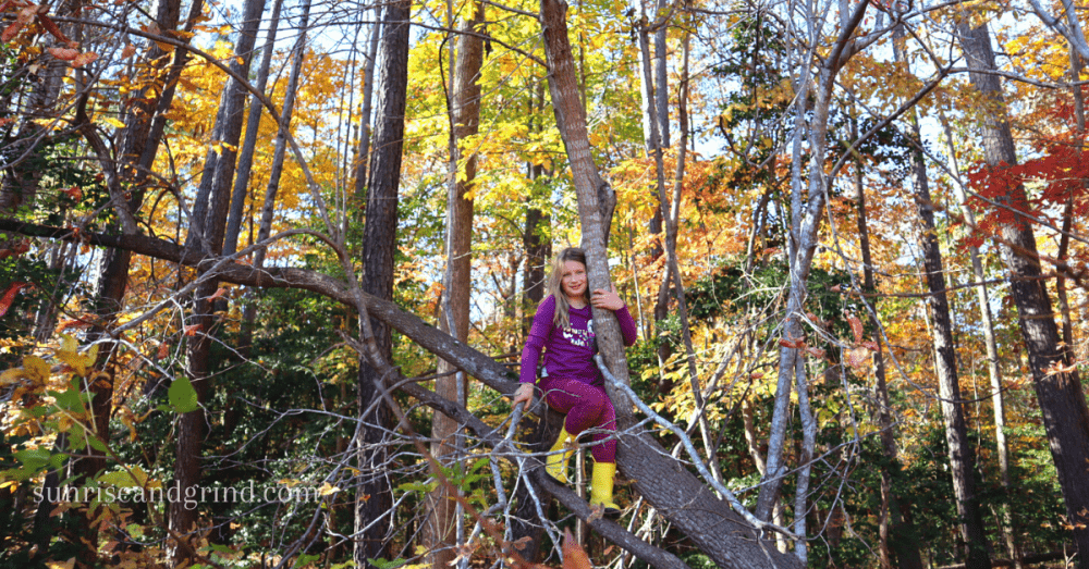 little girl climbing a tree in the woods