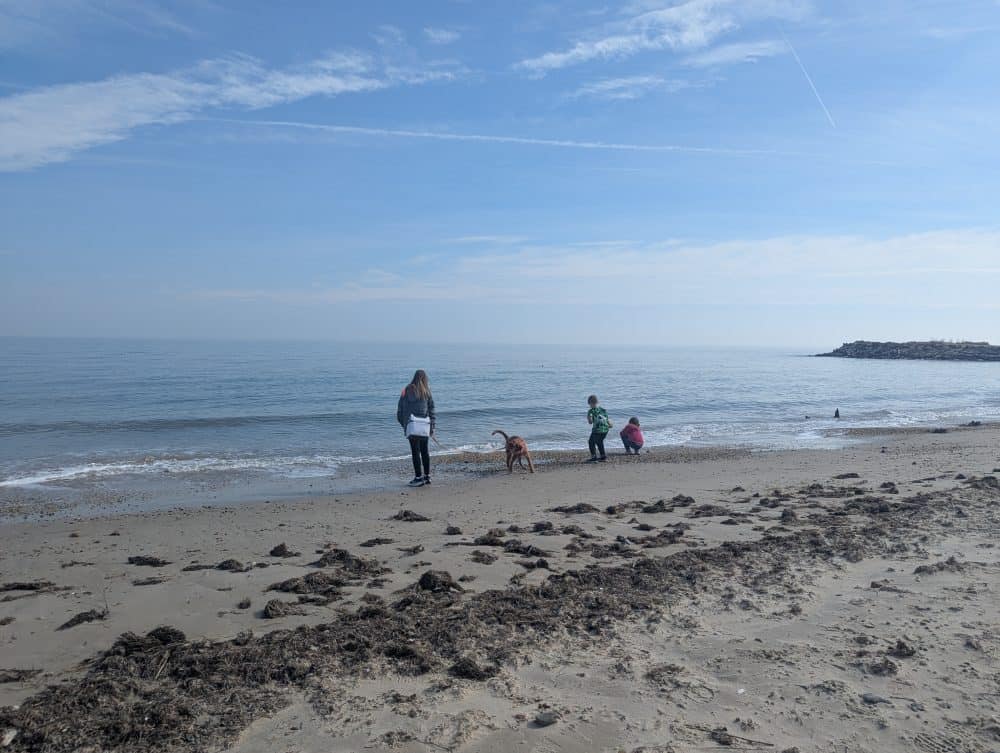 Homeschool kids enjoying wildschooling on the beach coast with their single mom.
